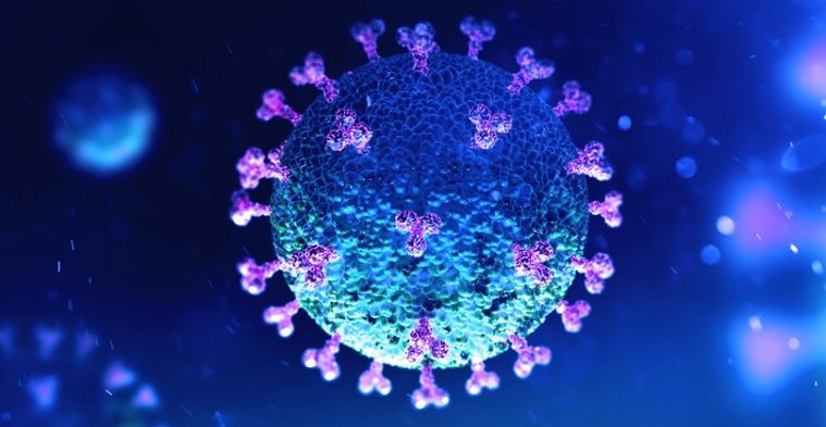 Mutación mexicana del virus de covid-19, "la más preocupante"
