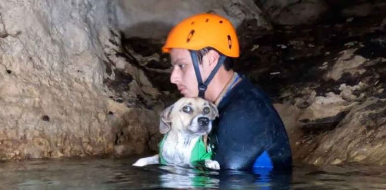 Yucatán: Rescatan a “Shakira”; varios estuvo en un cenote