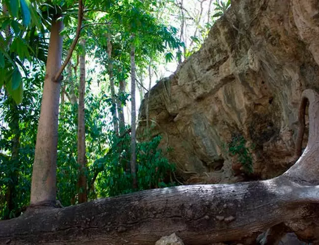 Yucatán: Arqueólogos desentierran tesoros mayas en X'baatun