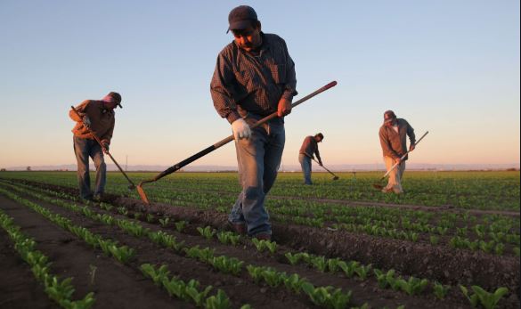 Migrantes yucatecos varados en EE.UU. tiene la esperanza de regresar a México