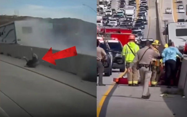 Hombre sale volando de su auto en plena autopista y sobrevive