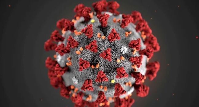 Coronavirus chino llegaría a México en las próximas semanas, según expertos