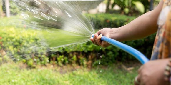 Nuevo León: Multarán por regar jardines y lavar autos con agua potable ¿Cómo ves?