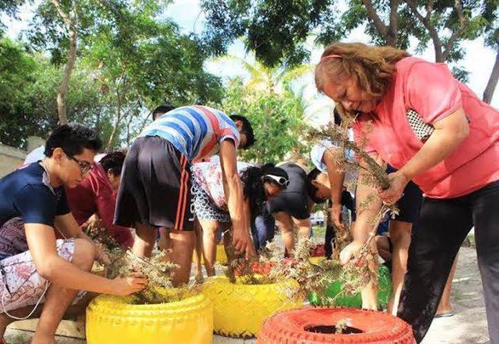 Mérida: Invitan a adolescentes y niños a taller para cuidar el planeta
