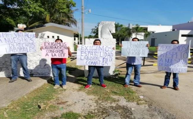 Yucatán: Despiden a trabajadores del Conafor