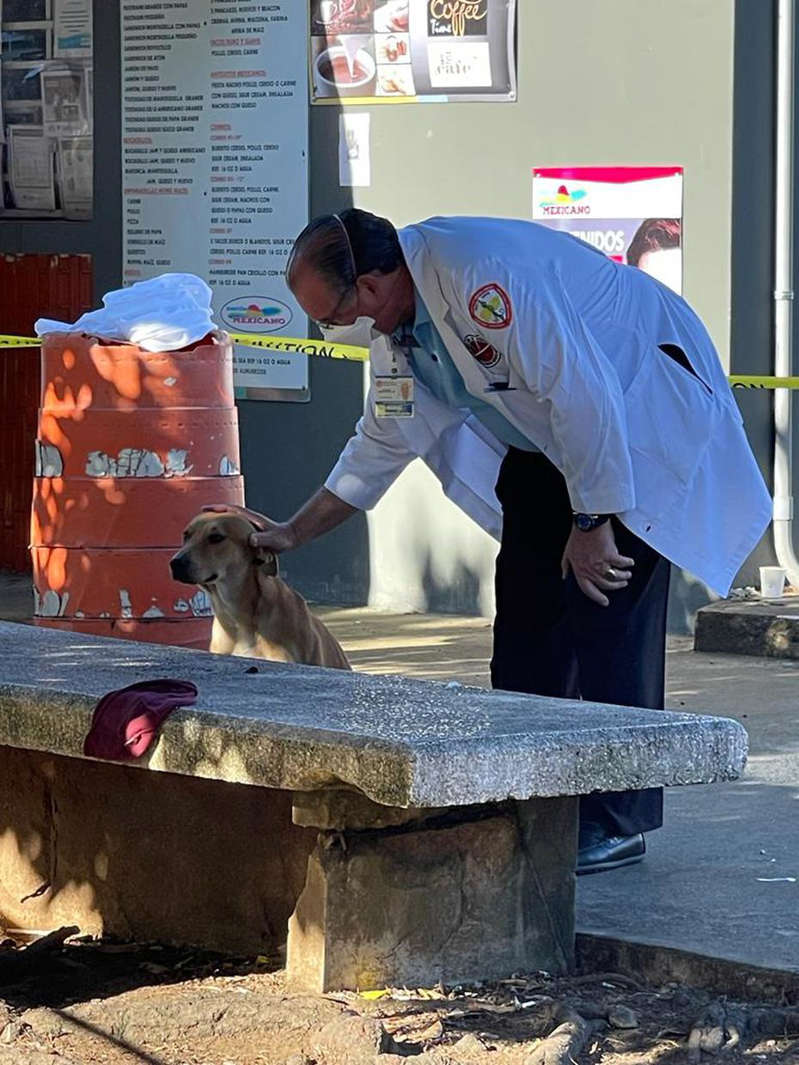 Perrito cuidó el cuerpo y pertenencias de su dueño que falleció en la calle