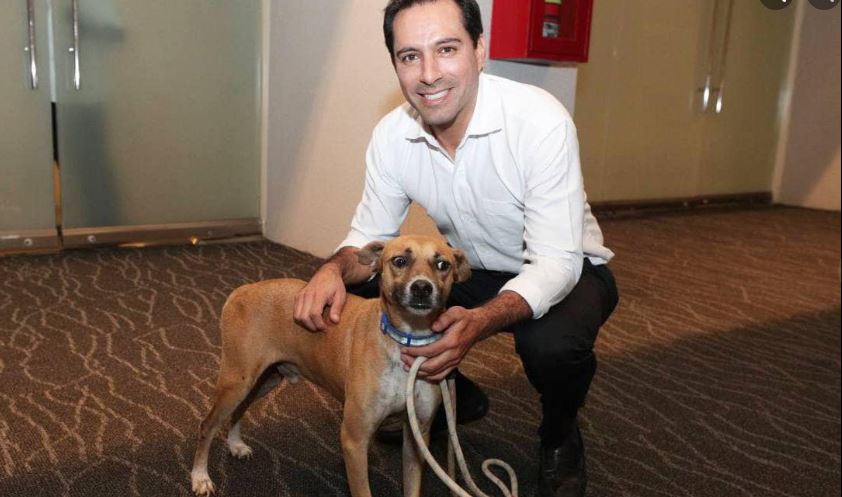 Mauricio Vila pide que adopten a "perrito sagrado de Kukulkán" y causa furor en redes