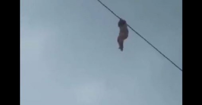 (Vídeo) Niña cuelga de cable a 15 metros de altura ¿Cómo llegó ahí?