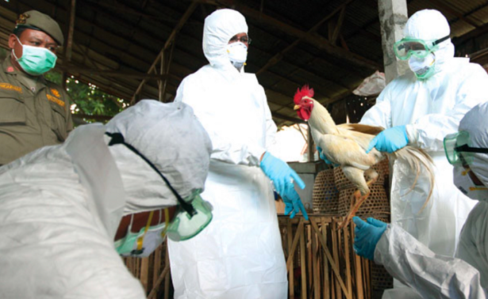 China detecta el primer caso en humanos de cepa H5N6 de gripe aviar