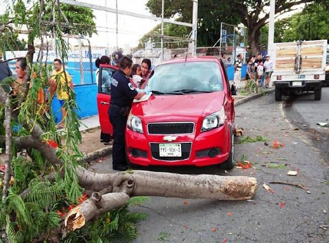 En Mérida, por no atropellar a un niño choca contra un árbol