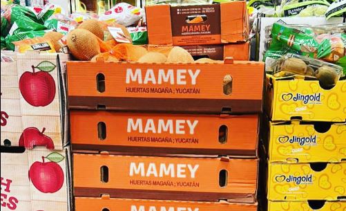 Mamey de Akil llega a aparadores de grandes cadenas comerciales y varias ciudades