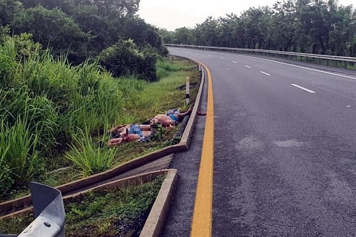 Encuentran cuerpos de 6 personas con huellas de torturas en Tabasco