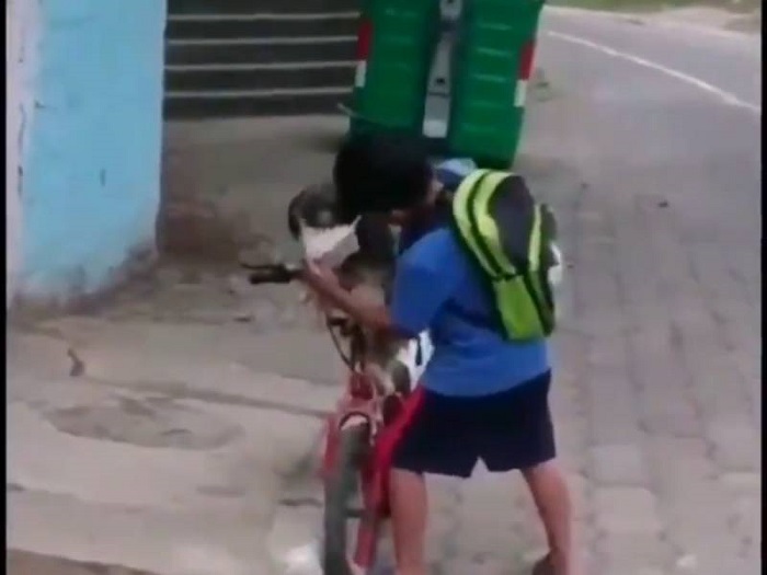 Pequeño enternece las redes al ponerle un cubrebocas a su perro para cuidarlo