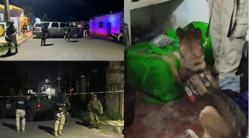 Catean bodega y decomisan arsenal de drogas naturales y sintéticas en Izamal