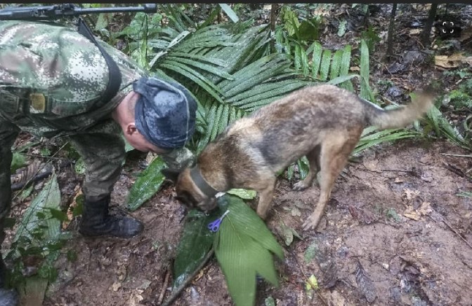 Hallan vivos a 3 niños y a un bebé; 17 días estuvieron perdidos en selva colombiana