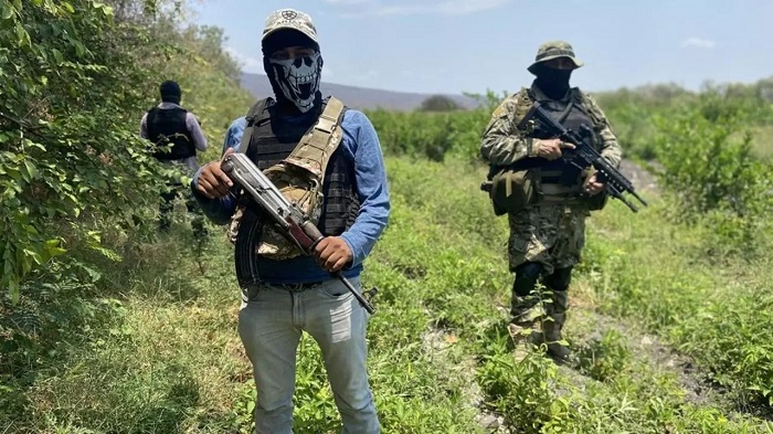 ONU: Narco mexicano supo adaptarse a la pandemia