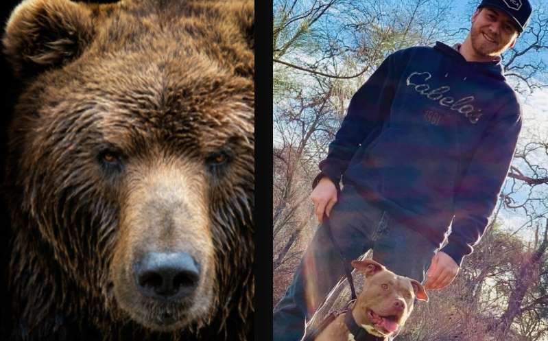 Hombre golpea en la cara a oso de casi 160 kilos para salvar a su perro
