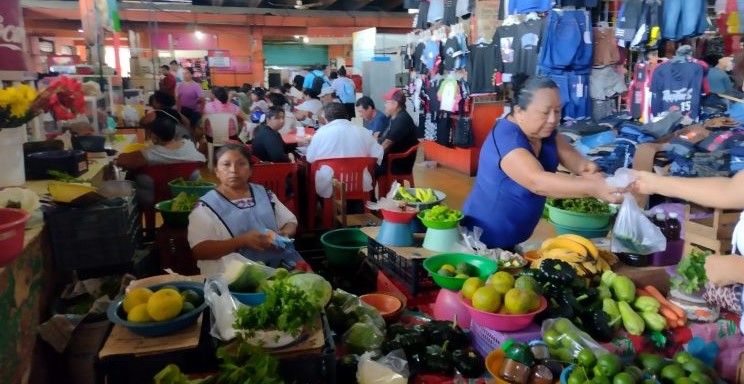 Familias del sur sobreviven gracias a la economía informal