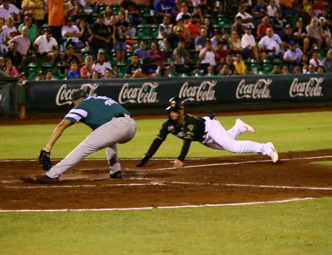 Permitirán entrar con perros al estadio de Leones de Yucatán y en algunos otros