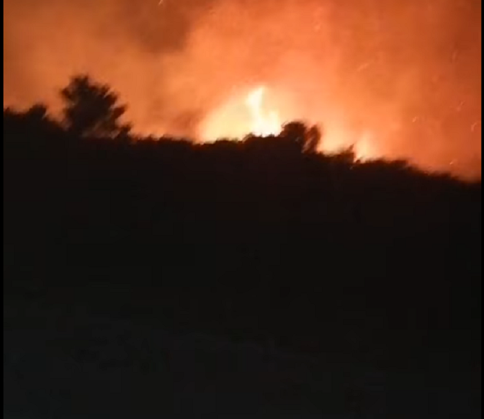 (VIDEO) Reportan incendio en terrenos de Chelem-Chuburná