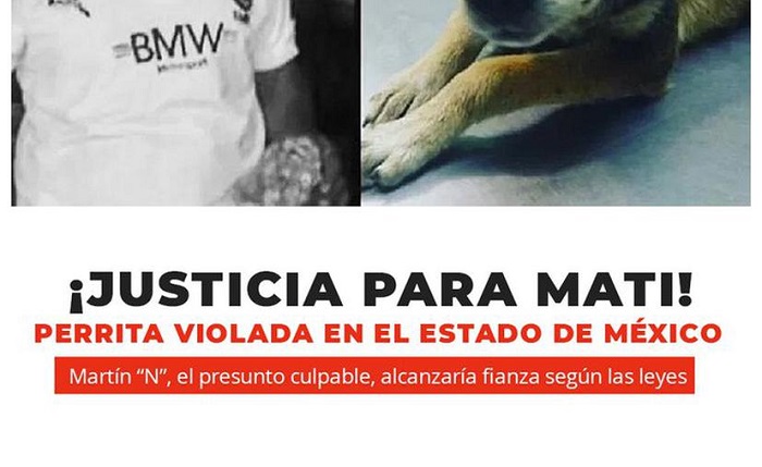 Se hizo justicia a la perrita Mati: un año de prisión a su abusador