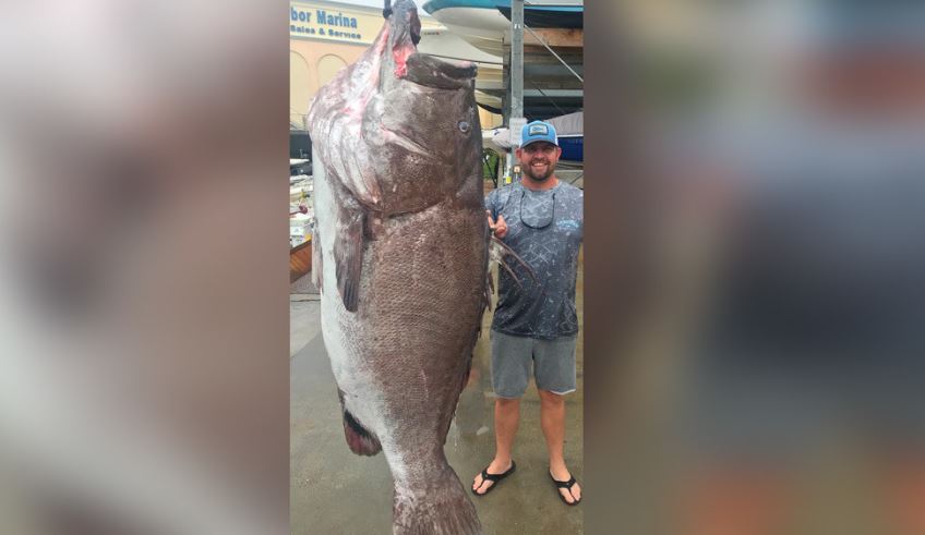 Atrapa un enorme pez de casi 160 kilos en Florida