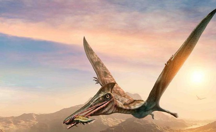 Hallan restos de un reptil volador de hace 93 millones de años en México