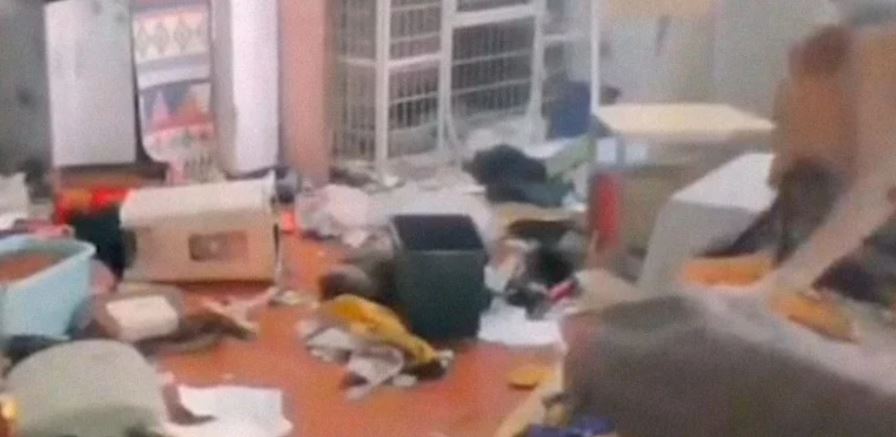 (VÍDEO) Perrito destroza la casa mientras su dueña estaba enferma de Covid-19