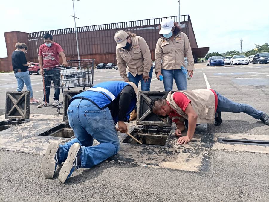 Logra Cultur certificación del Siglo XXI como “Entorno Libre de Criaderos de Mosquitos”