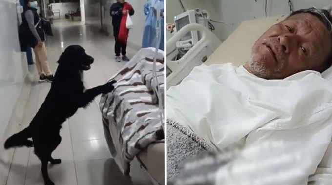 (VÍDEO) Hombre desahuciado pide que alguien adopte a su perrito