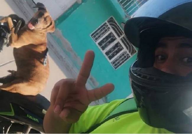 Aunque no lo creas, entrenó a su perro  para repartir comida