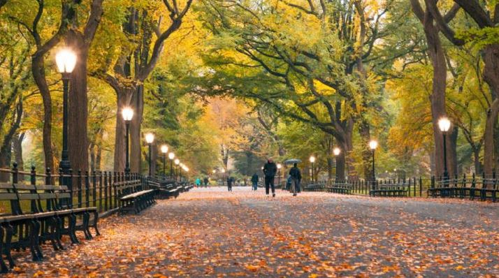 Como en Nueva York, así tendrá Mérida su 'Central Park'
