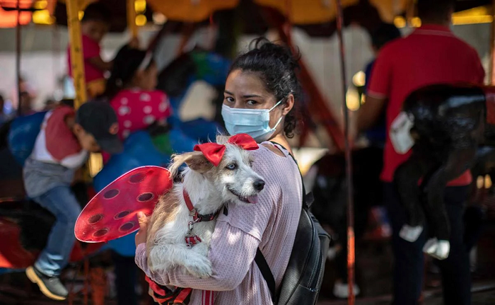 Rusia anuncia para abril su primera vacuna antiCovid para animales