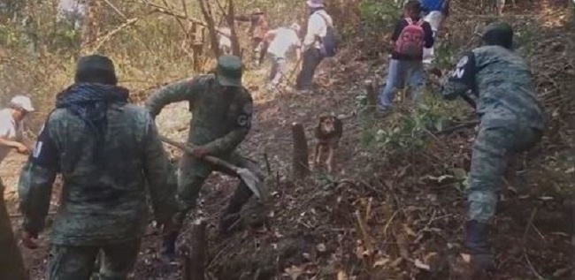 Por hacer TikTok, joven provocó incendio en Tepoztlán y se mete en gran lío