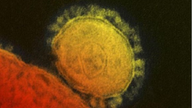 OMS emite alerta mundial por el primer caso de coronavirus en Japón