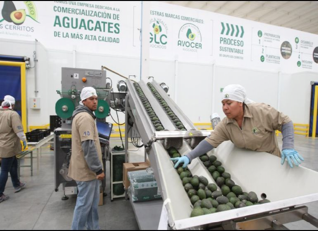 Exportadores de Jalisco acuerdan rapidez en certificados con el Gobierno Federal