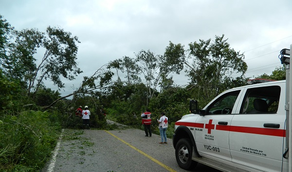 Cruz Roja Yucatán hace recorrido de inspección en zona afectada por huracán Delta