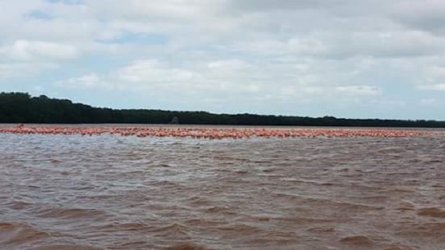 Yucatán: Vacaciona y encántate sin salir del Estado