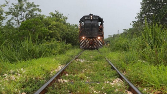 La reserva “Cuxtal” se ve amenazada por el Tren Maya