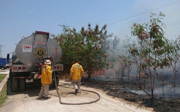 Yucatán: se duplica el número de incendios por intenso calor