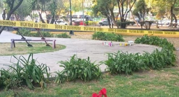 Paseo de perros termina en tragedia: Joven murió degollado