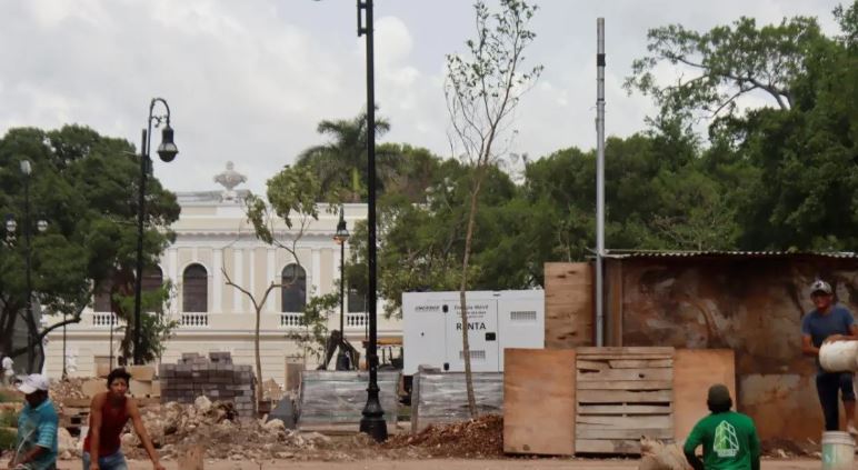 Mérida: Siembran nuevos árboles en la remodelación de Plaza Grande