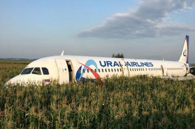 Avión ruso choca con parvada y aterriza de emergencia en campo de maíz