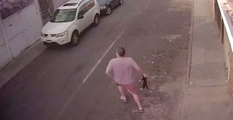 (Vídeo) Querétaro: Sujeto, sin motivo, lanza gatito por los aires