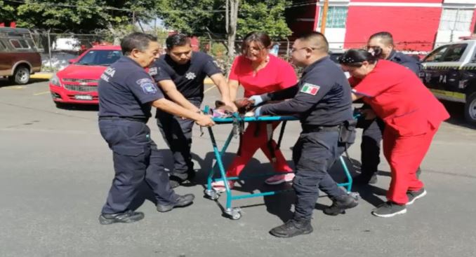 Edomex: Rescatan a perro herido por una locomotora en Tlalnepantla