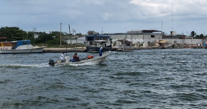 Yucatán: Pescadores advierten de la presencia de manchas negras en la costa