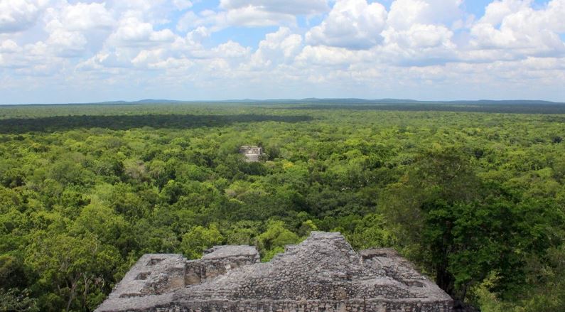 Unesco pide información a México sobre hotel en la Reserva de Calakmul