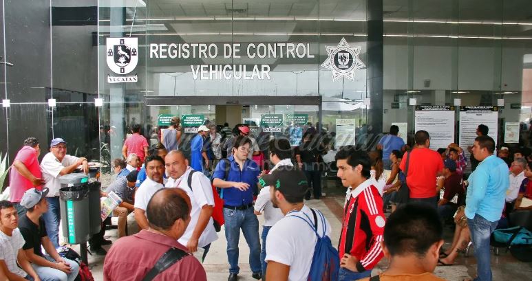 Tras fracaso con Roscas de Reyes, revendedor de Costco va por un nuevo emprendimiento