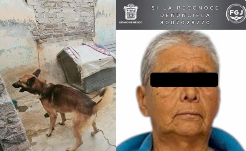 Rescatan 23 perros y un gato en condiciones de maltrato