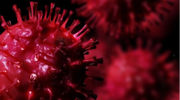 Hallan nueva cepa de coronavirus "más peligrosa" en Europa